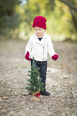 Image showing Girl In Red Mittens and Cap Near Small Christmas Tree