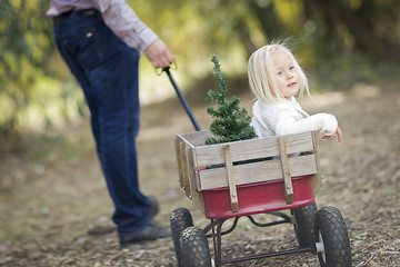 Image showing Father Pulls Baby Girl in Wagon with Christmas Tree