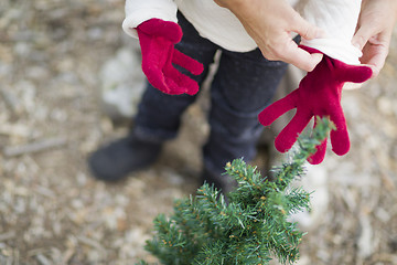 Image showing Mother Putting Red Mittens On Child