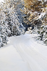 Image showing Road dirt snow-covered