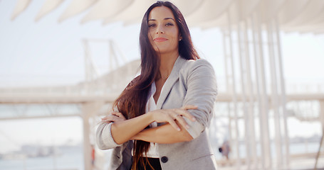 Image showing Confident attractive woman with long brown hair