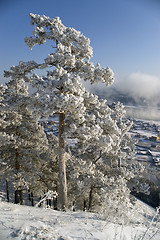 Image showing Winter landscape