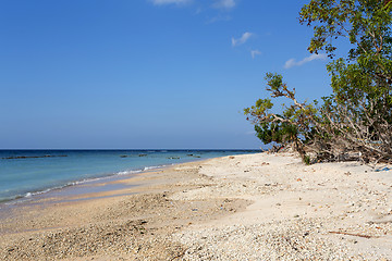 Image showing dream beach, Bali Indonesia, Nusa Penida island