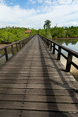 Image showing Indonesian landscape with walkway