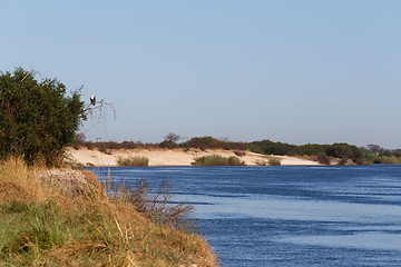 Image showing bank of the river zambezi