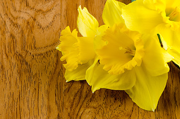 Image showing Jonquil flowers