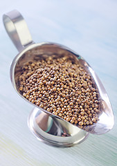 Image showing coriander