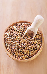 Image showing coriander