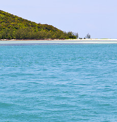 Image showing  south  kho phangan  bay  coastline   lagoon and tree 