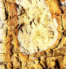 Image showing spain abstract texture of a broke 