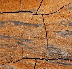 Image showing  spain abstract texture of a broke dry sand and lichens 