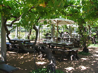 Image showing grapes' shelter
