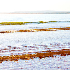 Image showing abstract in morocco  sea africa ocean wave and lanscape  