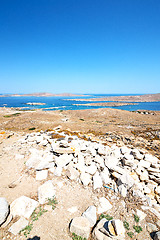 Image showing bush   in   greece the historycal  old ruin site