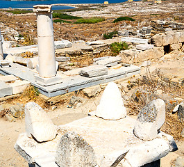 Image showing bush   in delos greece the historycal acropolis and old ruin sit