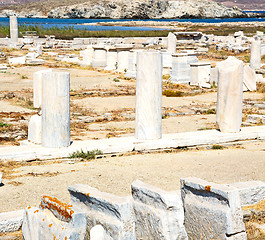Image showing bush   in delos greece the historycal acropolis and old ruin sit