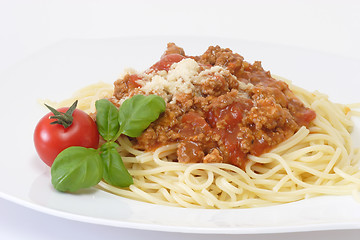 Image showing Bolognese 2