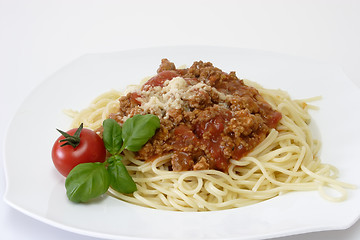 Image showing Bolognese 4
