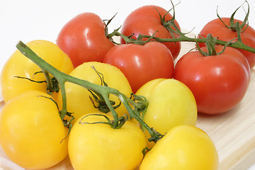 Image showing Healthy Tomatoes
