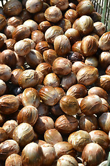 Image showing Seeds of Nutmeg