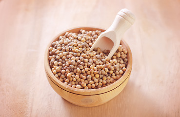 Image showing coriander