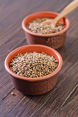 Image showing coriander