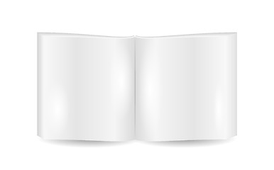 Image showing open book with blank pages