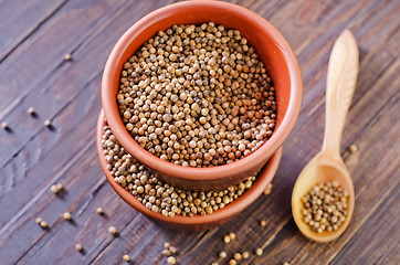 Image showing coriander