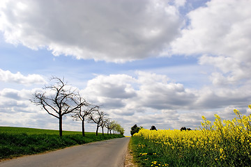 Image showing Walkway