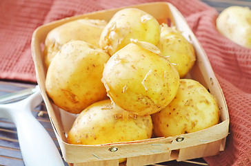 Image showing raw potato