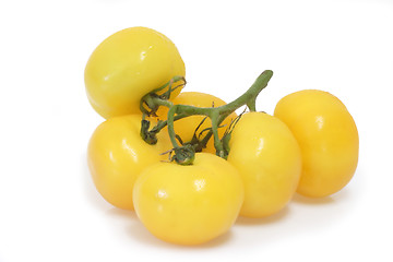 Image showing Yellow Tomatoes