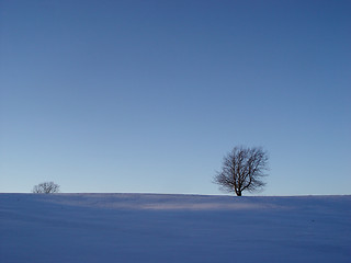 Image showing blue winter mood