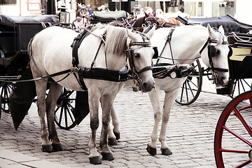 Image showing Horse-driven carriage at Hofburg palace, Vienna, Austria