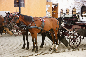 Image showing Horse-driven carriage at Hofburg palace, Vienna, Austria