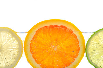 Image showing Orange lemon and lime slices in water