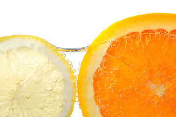 Image showing Orange and lemon slices in water