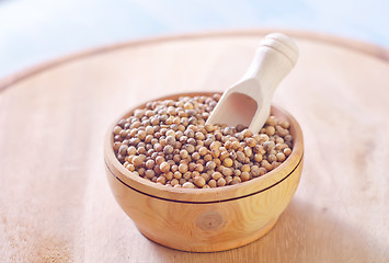 Image showing coriander