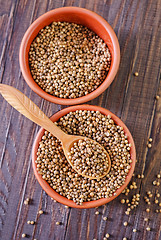 Image showing coriander