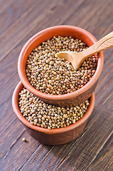 Image showing coriander