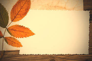 Image showing blank old photo and autumn leaves