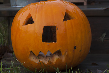 Image showing pumpkin