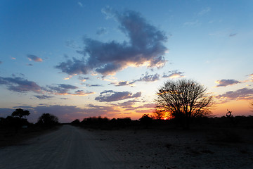 Image showing African sunset with tree in front