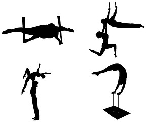 Image showing aerialists