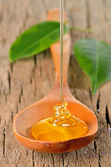 Image showing honey pouring