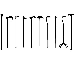 Image showing canes black