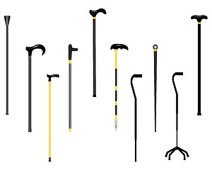 Image showing different canes