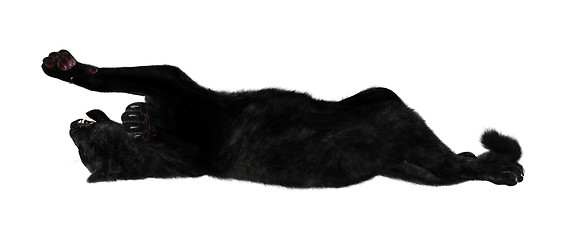 Image showing Big Cat Black Panther