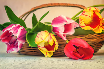 Image showing Beautiful tulips in a wicker basket on the table.