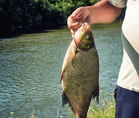 Image showing The caught catch of fish in hands at the fisherman.