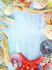 Image showing sea shells and compass